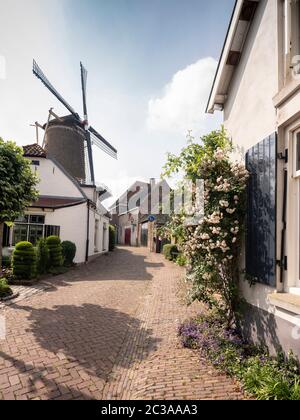 moulin et vieille rue ensoleillée d'été à wijk bij duurstede Banque D'Images