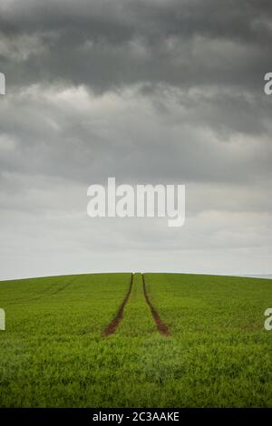Un seul chemin de pneus boueux à travers un terrain verdoyant et vert qui se poursuit sur la colline au-delà de l'horizon avec des nuages de tempête gris et spectaculaires qui se ferment Banque D'Images