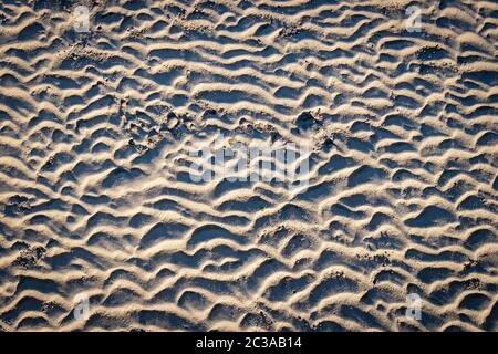 Vue rapprochée des motifs de sable ondulés sur une plage, éclairée par la lumière du soleil et les ombres fortes Banque D'Images