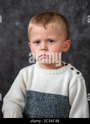 Portrait of cute little boy tacaud, un studio portrait Banque D'Images