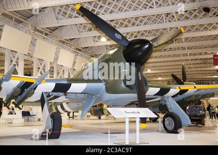 Hawker Typhoon 1B avion / avion. Avion de chasse-bombardier de la Seconde Guerre mondiale en démonstration au RAF Royal Air Force Museum à Hendon, Angleterre, Royaume-Uni (117) Banque D'Images