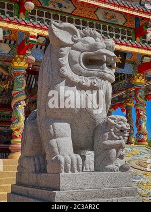Figurine de lion chinois, sculpture en pierre devant le temple chinois Banque D'Images