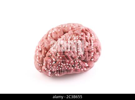 Cerveau humain isolé sur blanc avec chemin de découpe Banque D'Images