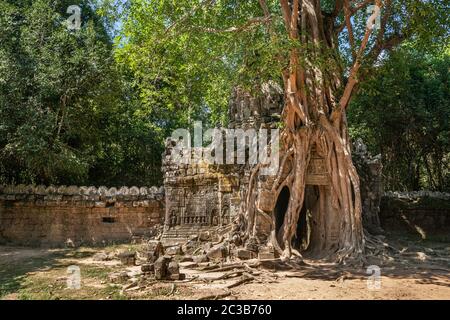 Porte au temple Ta Som à Angkor Thom, Siem Reap, Cambodge Banque D'Images