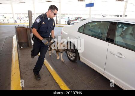 Laredo, Texas, États-Unis, 2012 : l'agent des douanes et de la protection des frontières des États-Unis vérifie une voiture traversant la frontière entre le Mexique et les États-Unis pour les médicaments cachés dans le véhicule avec l'aide d'un chien formé. ©MKC / Daemmrich photos Banque D'Images