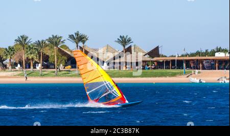 Les surfeurs du vent se promèvent dans la mer sur le fond de la plage avec des palmiers en Egypte Dahab Banque D'Images