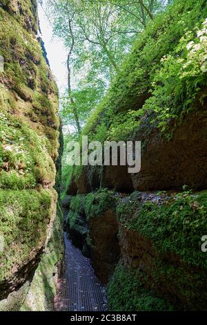 Sentier de randonnée pédestre à travers les gorges de Dragon au pied de la Wartburg près d'Eisenach en Thuringe Banque D'Images