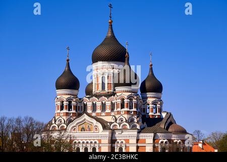 Vue sur la cathédrale Alexandre Nevsky de capitale de l'Estonie Tallinn la célèbre ville médiévale Banque D'Images