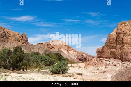 Oasis dans le désert au milieu de hautes montagnes rocheuses en Egypte Dahab Sud Sinaï Banque D'Images