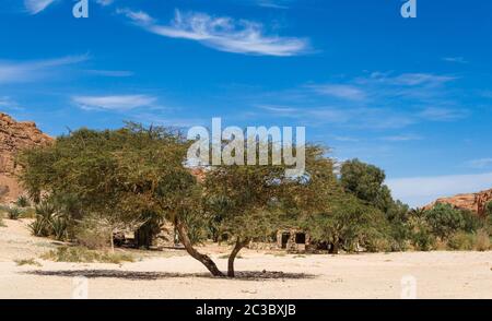 Bédouins vivant dans une oasis dans le désert entre les montagnes en Egypte Dahab South Sinai Banque D'Images