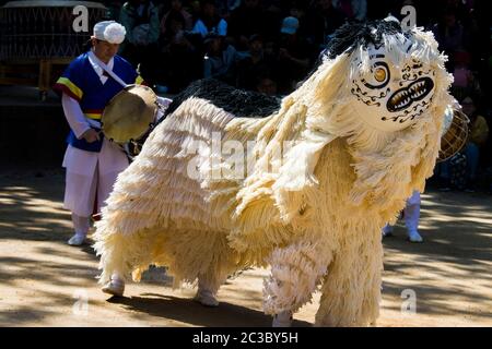 Yongin Séoul Corée du Sud : spectacle de danse du lion dans le village folklorique coréen. La danse au lion a été enregistrée dans l'œuvre historique coréenne Samguk Sagi sous le nom de 'Sanye'. Banque D'Images