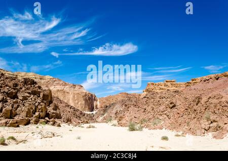 buissons verts sur le sable dans un canyon dans le désert avec la toile de fond des montagnes et un ciel bleu Banque D'Images