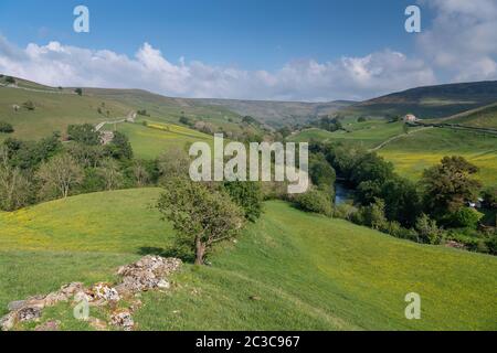 Vue sur Swaledale depuis Silver Hill, vers Keld et Kisdon Hill en début d'été. Parc national de Yorkshire Dales, Royaume-Uni. Banque D'Images