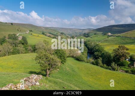 Vue sur Swaledale depuis Silver Hill, vers Keld et Kisdon Hill en début d'été. Parc national de Yorkshire Dales, Royaume-Uni. Banque D'Images