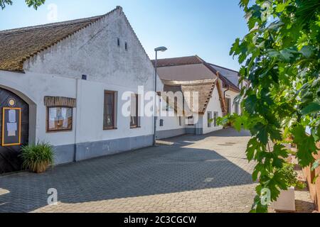 Un paysage idyllique avec des maisons traditionnelles à Apetlon, une ville dans une zone nommée Burgenland en Autriche Banque D'Images