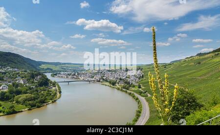 Mehring sur la Moselle Allemagne Europe. Banque D'Images