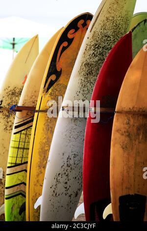 Groupe de planches de surf sur une journée ensoleillée à Bali Banque D'Images