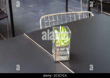Élément décoré dans un café, stock photo Banque D'Images