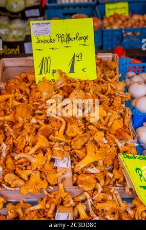 Chanterelle fraîche en vente sur la place du marché de Bonn, Allemagne. Banque D'Images