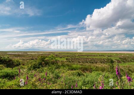 Une image HDR à trois prises de vue en été, qui regarde le Firth Solway depuis le marais de Campfield jusqu'au sud de l'Écosse. 17 juin 2020 Banque D'Images