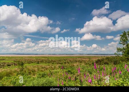 Une image HDR à trois prises de vue en été, qui regarde le Firth Solway depuis le marais de Campfield jusqu'au sud de l'Écosse. 17 juin 2020 Banque D'Images