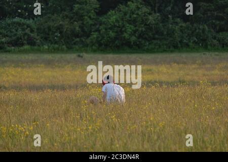 Un jeune homme portant un casque se trouve au milieu d'une prairie lisant un jour d'été. Banque D'Images