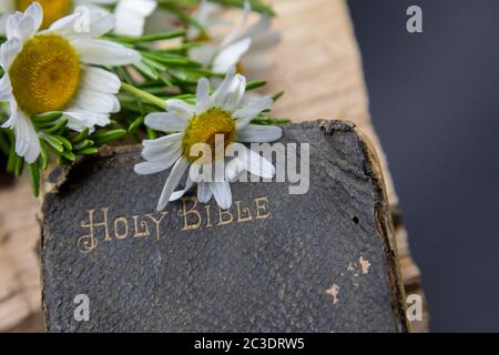 Vieille Bible, romarin, fleurs sauvages, image simple des temps simples, une vieille bible bien utilisée reposant sur un bois brut avec une branche de romarin et de fleurs sauvages Banque D'Images