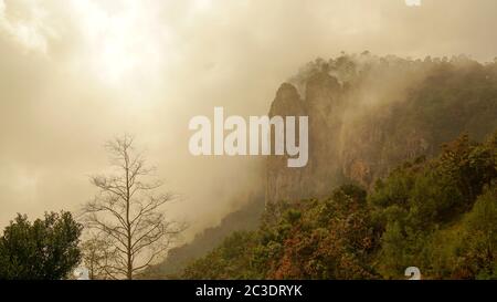 Kodaikanal en Inde. Banque D'Images
