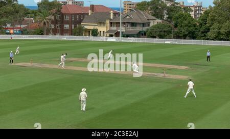 SYDNEY, AUSTRALIE - 31 janvier 2016 : large vue d'un match de cricket grade Sydney Banque D'Images