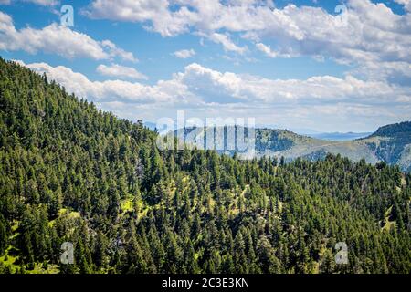 Une belle vue sur la nature dans Lewis et Clark Caverns SP, Montana Banque D'Images