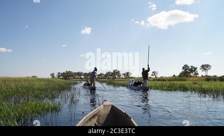 Éléphants pendant un safari sur le delta de l'Okavango au Botswana. Banque D'Images