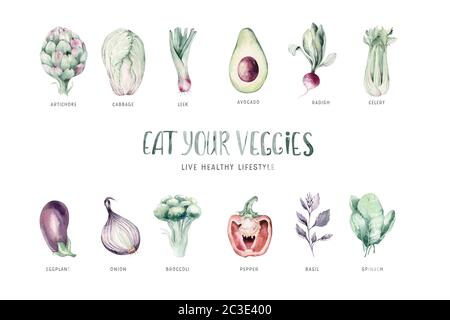 Légumes vert sain set biologique menu d'aquarelle dessiné à la main avec artichaut, brocoli, épinards, vitamine de céleri. Chou, poireau et oignon Banque D'Images