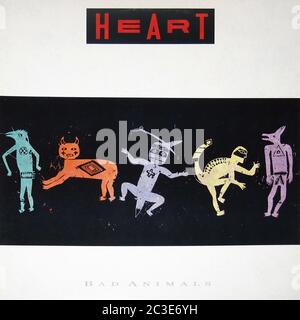 Heart Bad Animals canada - Vintage 12'' vinyle LP couverture Banque D'Images