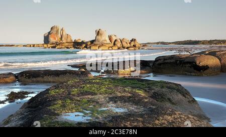 Des roches couvertes d'algues au picnic rocks en Tasmanie, Australie Banque D'Images