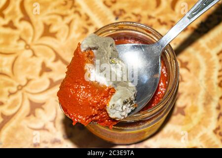 Moisissure poussant sur la pâte de tomate. Gros plan Banque D'Images