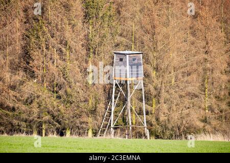 Les chasseurs en bois, assise haute tour de chasse Banque D'Images