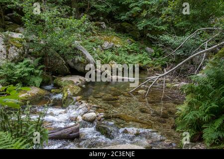 Découverte des Pyrénées orientales en été, région encore sauvage de France Banque D'Images