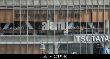 Café Starbucks à Shibuya, Tokyo, Japon Banque D'Images