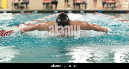 Un jeune nageur de natation nage le papillon lors d'une rencontre de natation Banque D'Images