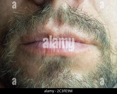 Photo rapprochée de la partie inférieure des lèvres du visage et de la barbe du mâle Banque D'Images