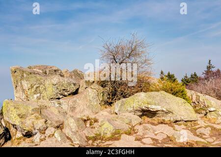 Taunus quartzite sur le Grand Feldberg à Hesse Banque D'Images