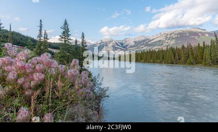 Parcs nationaux Banff et Jasper en Alberta, Canada Banque D'Images