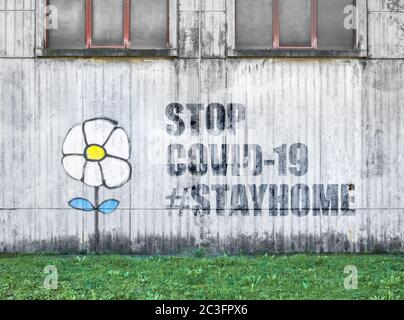 Fleur blanche sur le mur avec message STOP COVID Banque D'Images