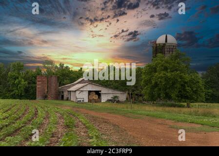 ferme avec des silos et de la terre roat avec des récoltes au coucher du soleil iwth beau ciel Banque D'Images