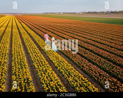 Vue de drone de couple dans champ de fleurs , champ de tulipe pendant le coucher du soleil, hommes et femme marchant dans champ de tulipe dans le pays-Bas Noordo