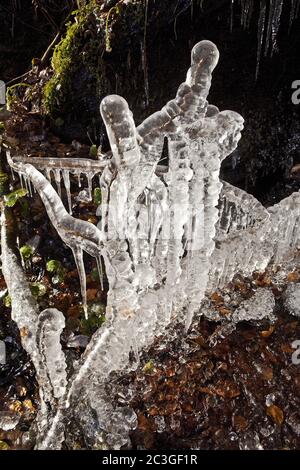 Glace sur des branches gelées à la cascade Plaesterlegge en hiver, Bestwig, Allemagne, Europe Banque D'Images