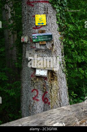 panneau de randonnée, panneau de randonnée, forêt noire, allemagne Banque D'Images