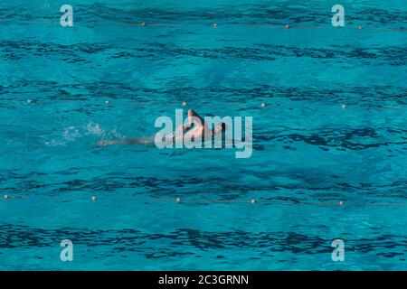 Sydney, Australie. Samedi 20 juin 2020. La piscine Bondi Icebergs a ouvert sa première semaine depuis que les restrictions concernant les coronavirus ont été assouplies dans la banlieue est de Sydney.Credit Paul Lovelace/Alay Live News Banque D'Images