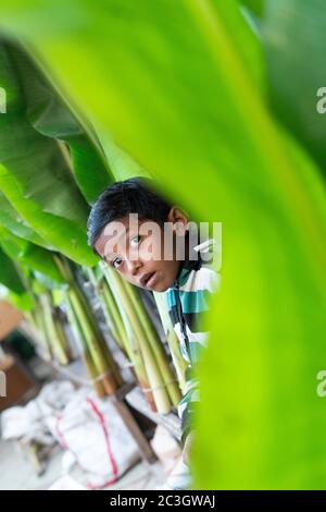 Enfant d'un fournisseur. Le marché de Khanderao est un complexe commercial tentaculaire qui abrite des fruits, des légumes, des fleurs et d'autres articles. Le marché de Khanderao est un ancest Banque D'Images