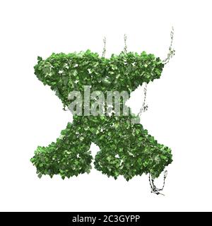 Lettre X créée de feuilles d'ivy vert - isolée sur fond blanc - illustration 3D Banque D'Images